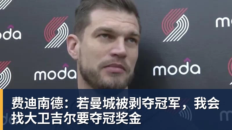 华体会体育费迪南德：若曼城被剥夺冠军，我会找大卫吉尔要夺冠奖金